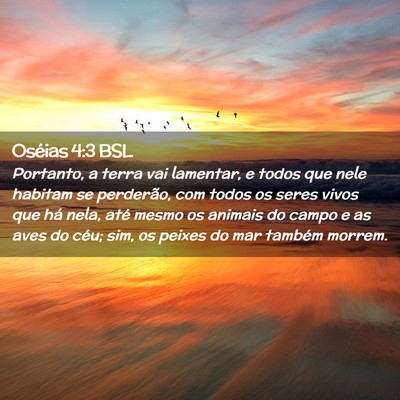 Picture 02 - Oséias 4:3 BSL - Portanto, a terra vai lamentar, e todos que nele - Bible Verse Picture