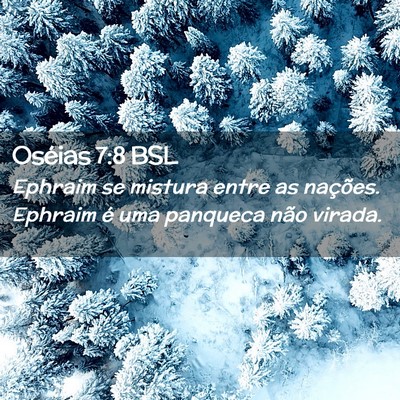 Picture 02 - Oséias 7:8 BSL - Ephraim se mistura entre as nações. Ephraim é - Bible Verse Picture