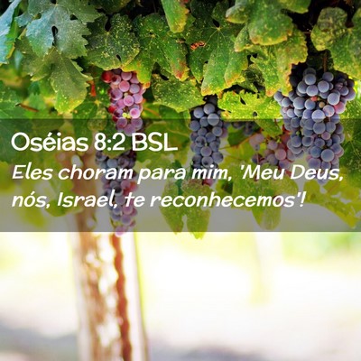 Picture 02 - Oséias 8:2 BSL - Eles choram para mim, 'Meu Deus, nós, Israel, te - Bible Verse Picture