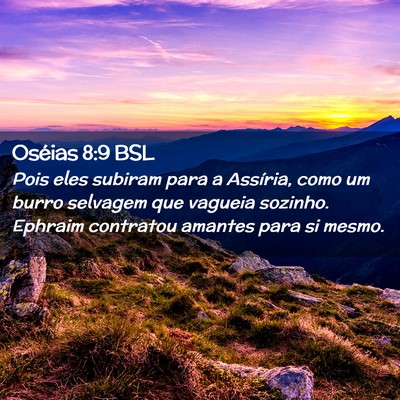 Picture 02 - Oséias 8:9 BSL - Pois eles subiram para a Assíria, como um burro - Bible Verse Picture