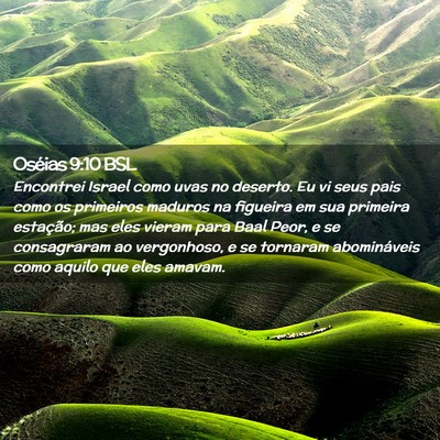 Picture 02 - Oséias 9:10 BSL - Encontrei Israel como uvas no deserto. Eu vi seus - Bible Verse Picture