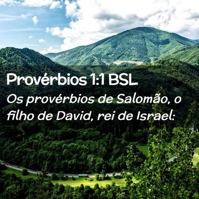Picture 02 - Provérbios 1:1 BSL - Os provérbios de Salomão, o filho de David, rei - Bible Verse Picture