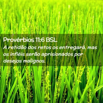 Picture 02 - Provérbios 11:6 BSL - A retidão dos retos os entregará, mas os - Bible Verse Picture