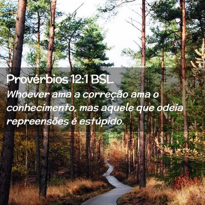 Picture 02 - Provérbios 12:1 BSL - Whoever ama a correção ama o conhecimento, mas - Bible Verse Picture