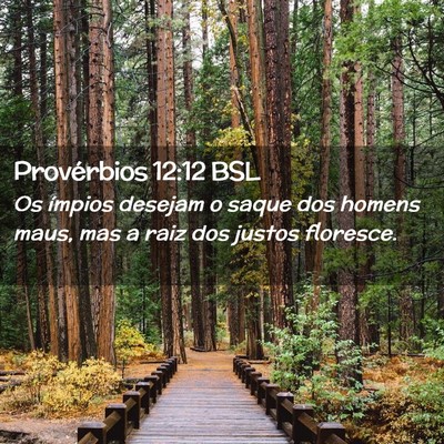 Picture 02 - Provérbios 12:12 BSL - Os ímpios desejam o saque dos homens maus, mas a - Bible Verse Picture