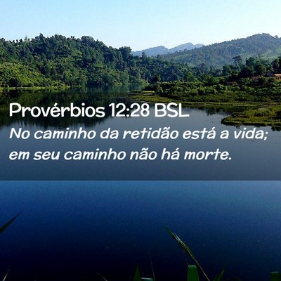 Picture 02 - Provérbios 12:28 BSL - No caminho da retidão está a vida; em seu - Bible Verse Picture