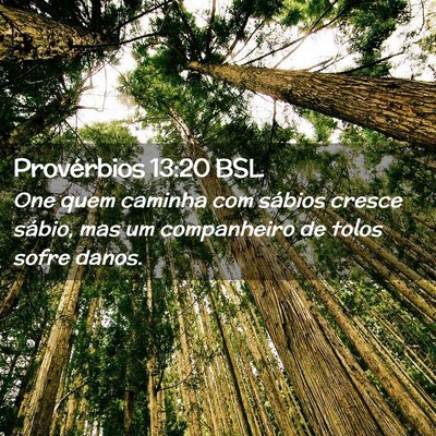 Picture 02 - Provérbios 13:20 BSL - One quem caminha com sábios cresce sábio, mas - Bible Verse Picture