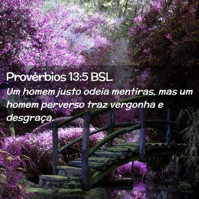Picture 02 - Provérbios 13:5 BSL - Um homem justo odeia mentiras, mas um homem - Bible Verse Picture