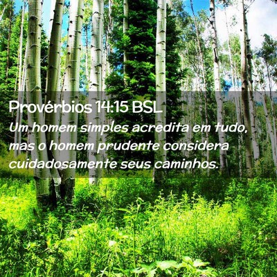 Picture 02 - Provérbios 14:15 BSL - Um homem simples acredita em tudo, mas o homem - Bible Verse Picture
