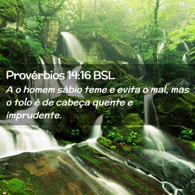 Picture 02 - Provérbios 14:16 BSL - A o homem sábio teme e evita o mal, mas o tolo - Bible Verse Picture