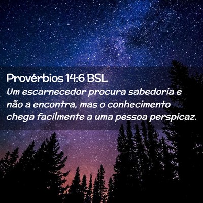 Picture 02 - Provérbios 14:6 BSL - Um escarnecedor procura sabedoria e não a - Bible Verse Picture