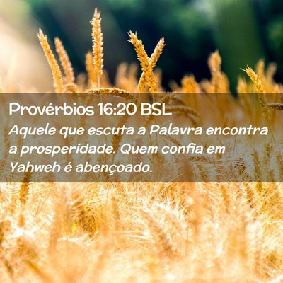 Picture 02 - Provérbios 16:20 BSL - Aquele que escuta a Palavra encontra a - Bible Verse Picture