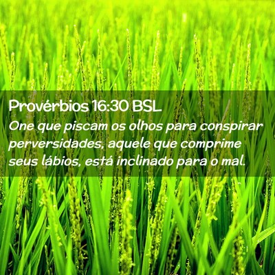 Picture 02 - Provérbios 16:30 BSL - One que piscam os olhos para conspirar - Bible Verse Picture