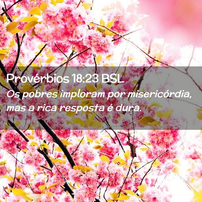Picture 02 - Provérbios 18:23 BSL - Os pobres imploram por misericórdia, mas a rica - Bible Verse Picture