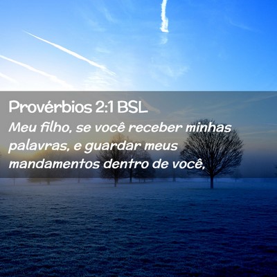 Picture 02 - Provérbios 2:1 BSL - Meu filho, se você receber minhas palavras, e - Bible Verse Picture