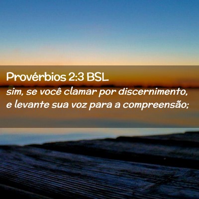 Picture 02 - Provérbios 2:3 BSL - sim, se você clamar por discernimento, e levante - Bible Verse Picture