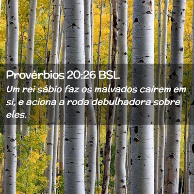 Picture 02 - Provérbios 20:26 BSL - Um rei sábio faz os malvados caírem em si, e - Bible Verse Picture