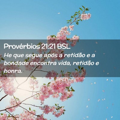 Picture 02 - Provérbios 21:21 BSL - He que segue após a retidão e a bondade - Bible Verse Picture