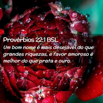 Picture 02 - Provérbios 22:1 BSL - Um bom nome é mais desejável do que grandes - Bible Verse Picture