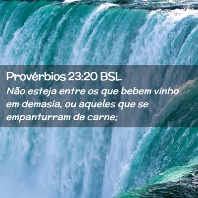 Picture 02 - Provérbios 23:20 BSL - Não esteja entre os que bebem vinho em demasia, - Bible Verse Picture