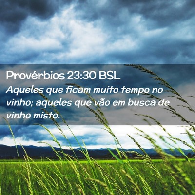 Picture 02 - Provérbios 23:30 BSL - Aqueles que ficam muito tempo no vinho; aqueles - Bible Verse Picture