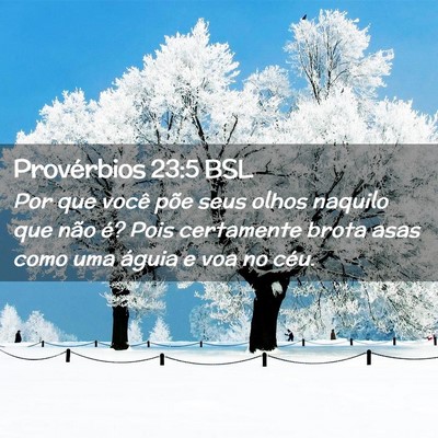 Picture 02 - Provérbios 23:5 BSL - Por que você põe seus olhos naquilo que não - Bible Verse Picture
