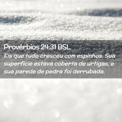 Picture 02 - Provérbios 24:31 BSL - Eis que tudo cresceu com espinhos. Sua - Bible Verse Picture