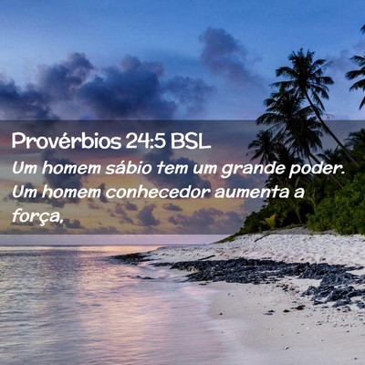 Picture 02 - Provérbios 24:5 BSL - Um homem sábio tem um grande poder. Um homem - Bible Verse Picture