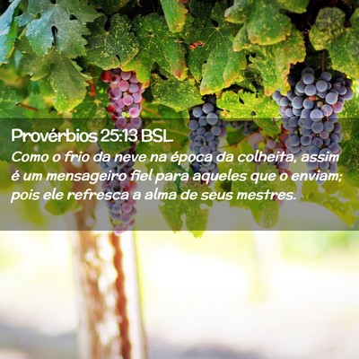 Picture 02 - Provérbios 25:13 BSL - Como o frio da neve na época da colheita, assim - Bible Verse Picture