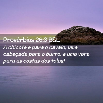 Picture 02 - Provérbios 26:3 BSL - A chicote é para o cavalo, uma cabeçada para o - Bible Verse Picture