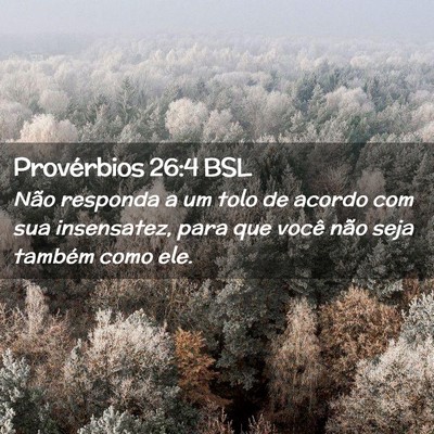 Picture 02 - Provérbios 26:4 BSL - Não responda a um tolo de acordo com sua - Bible Verse Picture