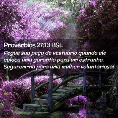 Picture 02 - Provérbios 27:13 BSL - Pegue sua peça de vestuário quando ele coloca - Bible Verse Picture