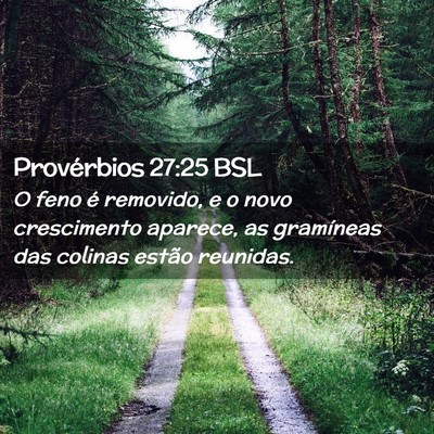 Picture 02 - Provérbios 27:25 BSL - O feno é removido, e o novo crescimento aparece, - Bible Verse Picture
