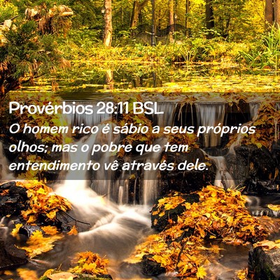 Picture 02 - Provérbios 28:11 BSL - O homem rico é sábio a seus próprios olhos; - Bible Verse Picture