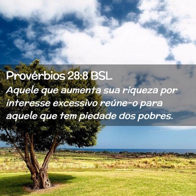 Picture 02 - Provérbios 28:8 BSL - Aquele que aumenta sua riqueza por interesse - Bible Verse Picture