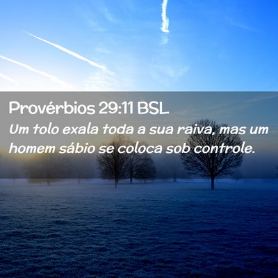 Picture 02 - Provérbios 29:11 BSL - Um tolo exala toda a sua raiva, mas um homem - Bible Verse Picture