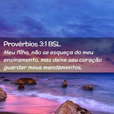 Picture 02 - Provérbios 3:1 BSL - Meu filho, não se esqueça do meu ensinamento, - Bible Verse Picture