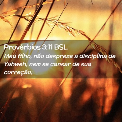 Picture 02 - Provérbios 3:11 BSL - Meu filho, não despreze a disciplina de Yahweh, - Bible Verse Picture