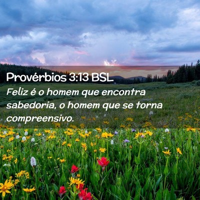 Picture 02 - Provérbios 3:13 BSL - Feliz é o homem que encontra sabedoria, o homem - Bible Verse Picture