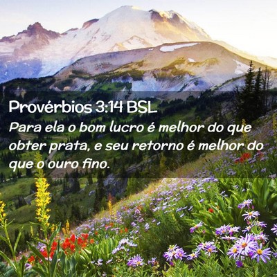 Picture 02 - Provérbios 3:14 BSL - Para ela o bom lucro é melhor do que obter - Bible Verse Picture