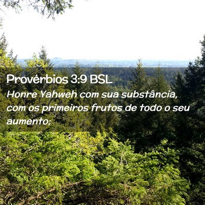 Picture 02 - Provérbios 3:9 BSL - Honre Yahweh com sua substância, com os - Bible Verse Picture