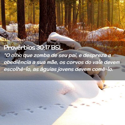 Picture 02 - Provérbios 30:17 BSL - “O olho que zomba de seu pai, e despreza a - Bible Verse Picture