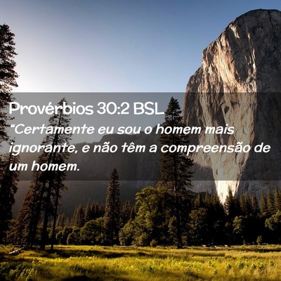 Picture 02 - Provérbios 30:2 BSL - “Certamente eu sou o homem mais ignorante, e - Bible Verse Picture