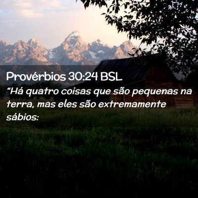 Picture 02 - Provérbios 30:24 BSL - “Há quatro coisas que são pequenas na terra, - Bible Verse Picture