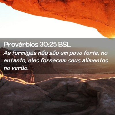 Picture 02 - Provérbios 30:25 BSL - As formigas não são um povo forte, no entanto, - Bible Verse Picture