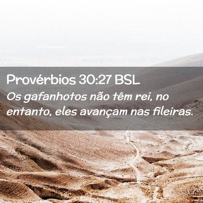 Picture 02 - Provérbios 30:27 BSL - Os gafanhotos não têm rei, no entanto, eles - Bible Verse Picture