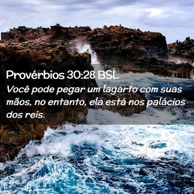 Picture 02 - Provérbios 30:28 BSL - Você pode pegar um lagarto com suas mãos, no - Bible Verse Picture