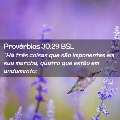 Picture 02 - Provérbios 30:29 BSL - “Há três coisas que são imponentes em sua - Bible Verse Picture