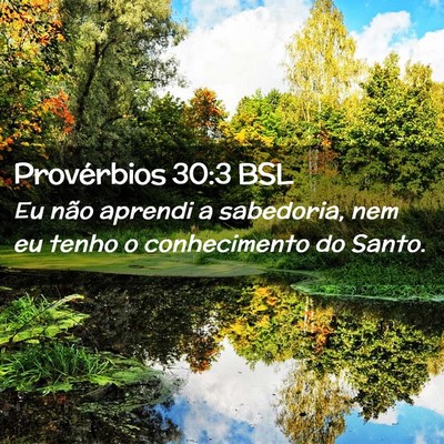 Picture 02 - Provérbios 30:3 BSL - Eu não aprendi a sabedoria, nem eu tenho o - Bible Verse Picture