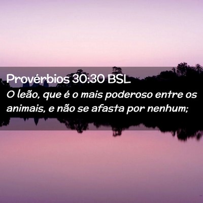 Picture 02 - Provérbios 30:30 BSL - O leão, que é o mais poderoso entre os animais, - Bible Verse Picture